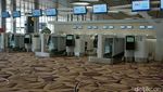 Foto: Terminal 4 Bandara Changi yang Baru, Keren Deh!