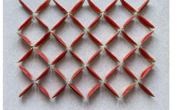 Keren! Foto Apel, Semangka hingga Kacang Polong Berbentuk Geometris
