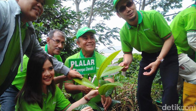 101 Tanaman Langka Ditanam di Gunung Selok Cilacap