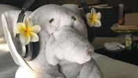 Ternyata Gary Neville menginap di Mandapa Resort. Inilah resort mewah di kawasan Ubud yang dimiliki oleh jaringan hotel Ritz Carlton. Gary pun membagikan foto handuk yang dibentuk seperti gajah ini (Instagram/@gneville2)