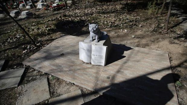 Anjing tidak hanya dikuburkan secara 'manusiawi', namun juga dibuatkan tugunya (Jason Lee/Reuters)