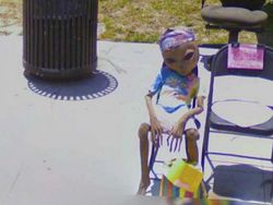Deretan Foto Aneh dan Lucu di Google Street View