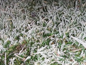 Embun Es Dieng Datang Bikin Was-was Para Petani Kentang