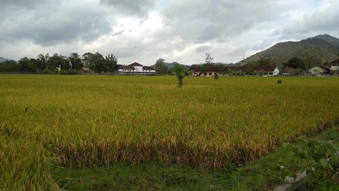 Pemkab Trenggalek Usulkan Pembangunan GOR ke Kemenpora Rp 20 M