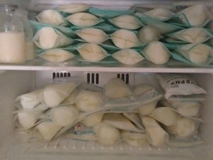 Peluang Bisnis Rental Freezer ASI, Omzet Nyaris Rp 150 Juta/Bulan