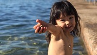 Lewat Instagram, keluarga Kawa kemudian mengucapkan terima kasih kepada semua pihak yang sudah membantu meski Kawa akhirnya tak terselamatkan. Ucapan itu disertai foto Kawa di sebuah pantai di Newport.  (Foto: Instagram Desmond Sweeney)