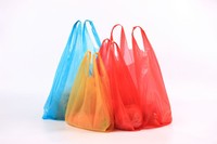 Sayuran Dalam Kantong Plastik
