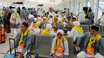 Jemaah Haji Indonesia Tiba Perdana di Madinah