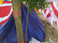 Pasutri Lansia Penjual Bendera Terpaksa Tidur di Tenda Pinggir Jalan