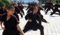 Kung Fu Mematikan dari Biksuni Millennial