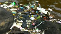 (dok Ciliwung Institut)