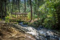 Kecantikan Parque Arvi di Medellin, Kolombia (Thinkstock)