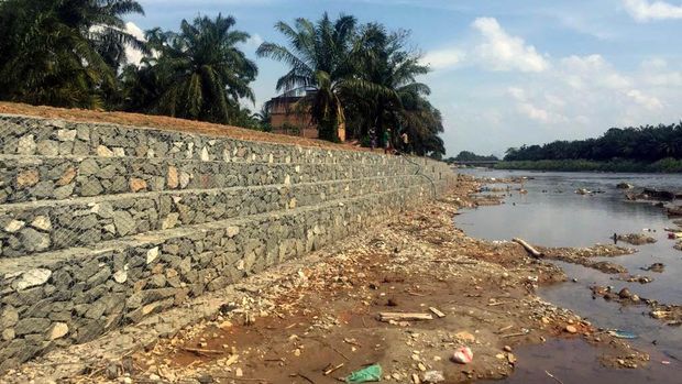 Atasi Banjir di Riau Pakai Cara ini  