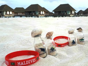 Oleh-oleh Asli Maldives yang Konon Bisa Bikin Kamu ke Maldives
