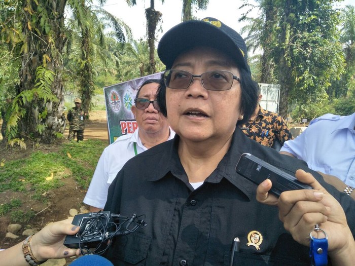 Begini Analisis Kementerian LHK soal Banjir di Jakarta Hari ini