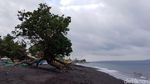 Foto: Calon Pantai Khusus Perempuan yang Baru di Banyuwangi