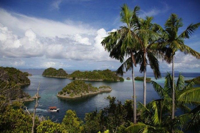 Lestarikan Budaya, Papua Gelar Festival Budaya Keerom