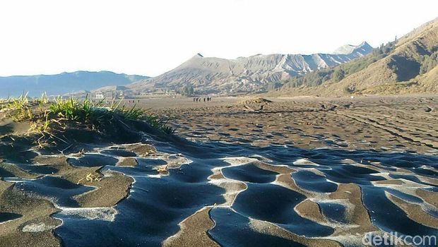 Petani Lereng Gunung Bromo Merugi akibat Embun Beku 