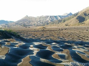 Petani Lereng Gunung Bromo Merugi akibat Embun Beku