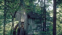 Foto: Black Forest makin terkenal menyeramkan oleh Grimm Bersaudara, kakak-beradik Jakob dan Wilhelm Carl Grimm asal Jerman yang merupakan para novelis dan pembuat cerita dongeng di abad ke 17-18 (Thinkstock)