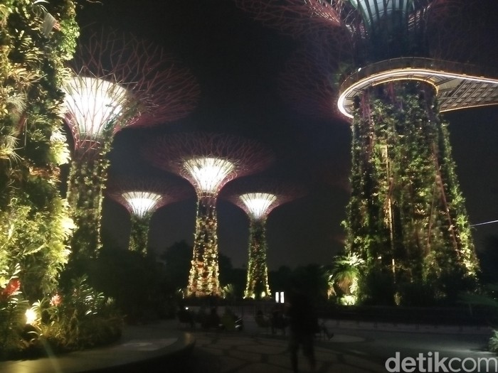 Pohon Ajaib di Singapura