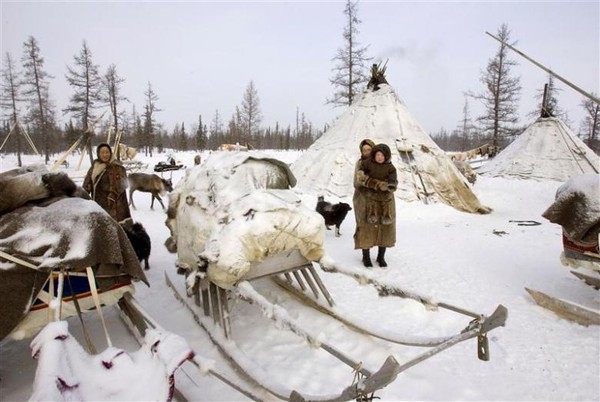 Peralatan yang digunakan untuk mengangkut barang-barangnya adalah kendaraan khas salju (slingges) kayu buatan tangan (Dok. REUTERS/Anton Golubev)