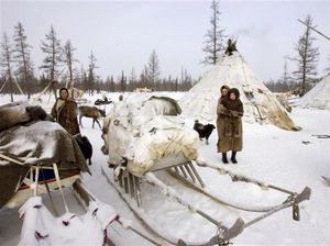 Bertahan Hidup di Negeri yang Suhunya -50 Derajat Celcius