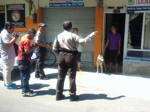 Polisi imbau pemilik anjing di Kelurahan Pakelan/