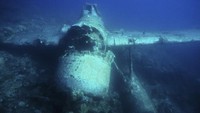 Beberapa titik diving di Micronesia antara lain, Miil Channel, Goofnuw Channel dan Lionfish Wall di Yap. Poahlong Pass, Ant Atoll dan Manta Road di Pohnpei. Fujikawa Maru, Nippo Maru dan San Francisco Maru di Chuuk. Terakhir, Shark Island dan Hiroshi Point di Kosrae (Thinkstock)