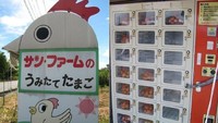 Kalau ini vending machine untuk beli telur segar. Langsung disediakan peternak telur lokal di Jepang. (Foto: Istimewa)