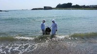 Warga Jepang menyebut wanita-wanita putri duyung ini dengan Ama. Para Ama menyelam ke laut untuk mengambil kerang tanpa alat bantu selam. Keren! (Mike MacEacheran/BBC Travel)