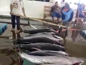 AS Ternyata Doyan Tuna hingga Udang RI, Ini Buktinya