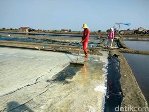 Punya Laut Luas, Begini Kondisi Pergaraman di RI