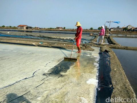 Petani garam di Sidoarjo panen dini/