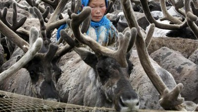 Foto: Manusia di Suhu -50 Derajat Celcius
