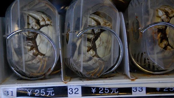 Vending Machine Ini Jual Beras, Kepiting Sampai Kaviar Rp 6 Juta!