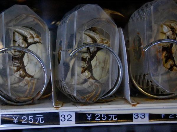 Vending Machine Ini Jual Beras, Kepiting Sampai Kaviar Rp 6 Juta!
