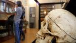 Foto: Museum Isinya Tengkorak Para Kriminal