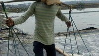 Tiap satu kotak, biasanya para petani menghasilkan 200 sak. Namun karena panen dini menghasilkan garam 30 sak saja.
