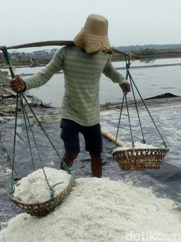 Cuaca tak menentu petani garam panen dini/