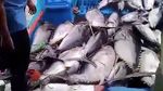 Banjir Tuna di Sendang Biru