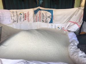 Asosiasi Pedagang Pajale Jatim Desak Pemerintah Tetapkan HET Beras