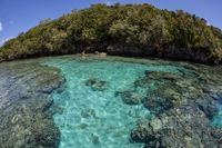 Alam laut Micronesia (Thinkstock)