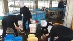 Foto: Putri Duyung Terakhir di Jepang