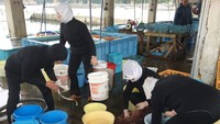 Para Ama kebanyakan tinggal di kawasan Toba dan Shima di Prefektur Mie. Kedua-dua daerah ini menghadap ke Samudera Pasifik (Laura Kiniry/CNN)