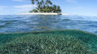 Bayangkan, lokasinya 2.900 km dari sebelah timur Filipina, 2.161 km dari Papua Nugini dan 4.000 km dari Hawaii. Sudah begitu, kepulauannya dikelilingi Samudera pasifik (Thinkstock)
