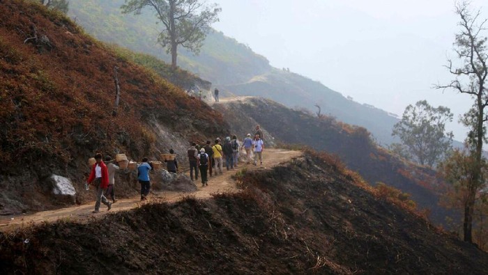 BKSDA Jatim : Pembangunan di TWA Kawah Ijen Sesuai Perencanaan