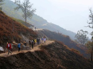 BKSDA Jatim : Pembangunan di TWA Kawah Ijen Sesuai Perencanaan