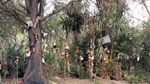 Foto: Kamu Pasti Tidak Berani Datang ke Pulau Boneka Ini