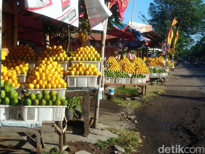 Mangga Podang, Buah Mangga Khas Kediri